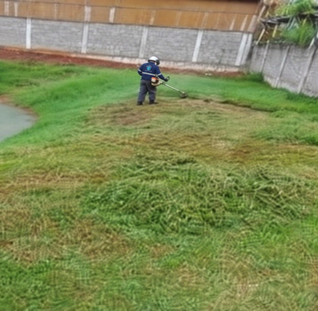 Serviço de conservação de área verde